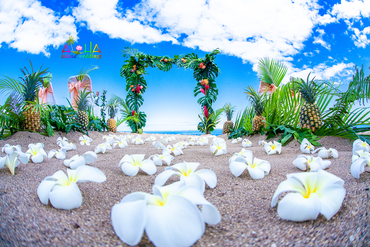 Hawaii themed archway wedding with monstera leaves , pineapples, white and yellow plumerias palm leaves and proteas 
